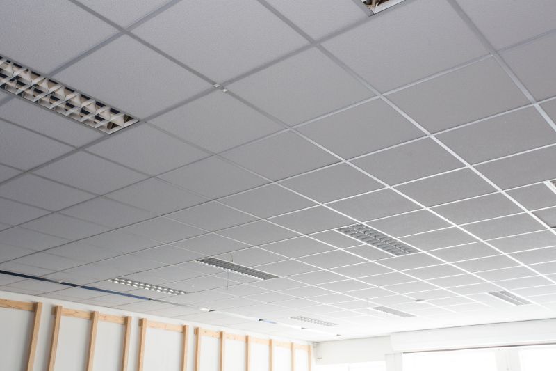 Acoustic Ceiling Installation
