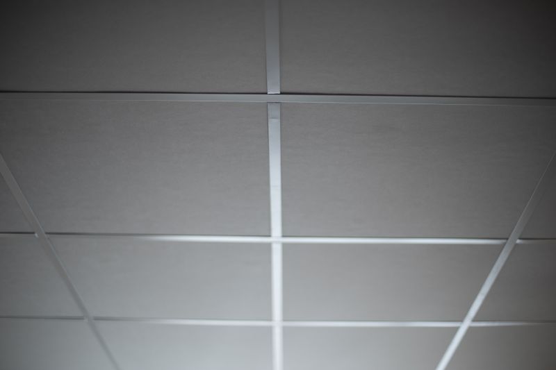 Ceiling Surface Preparation