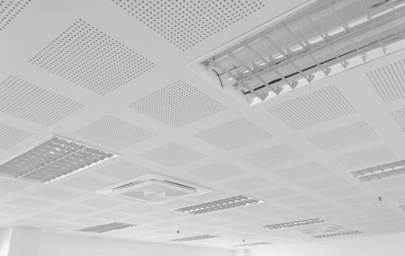 Grid Ceiling Repair in Longmont, CO