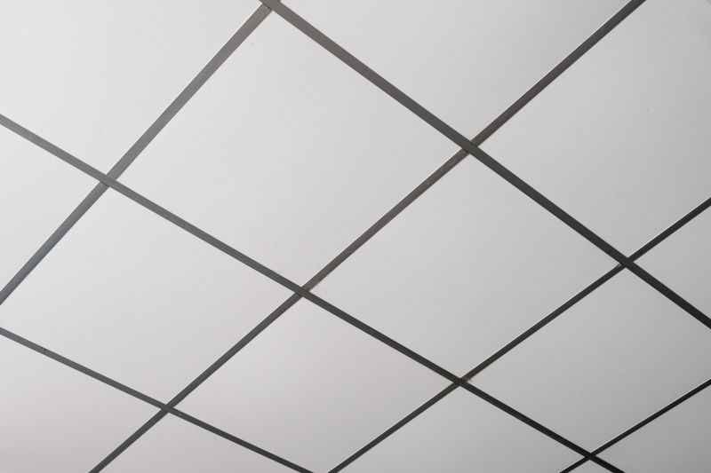 Suspended Ceiling Installation in Longmont, CO